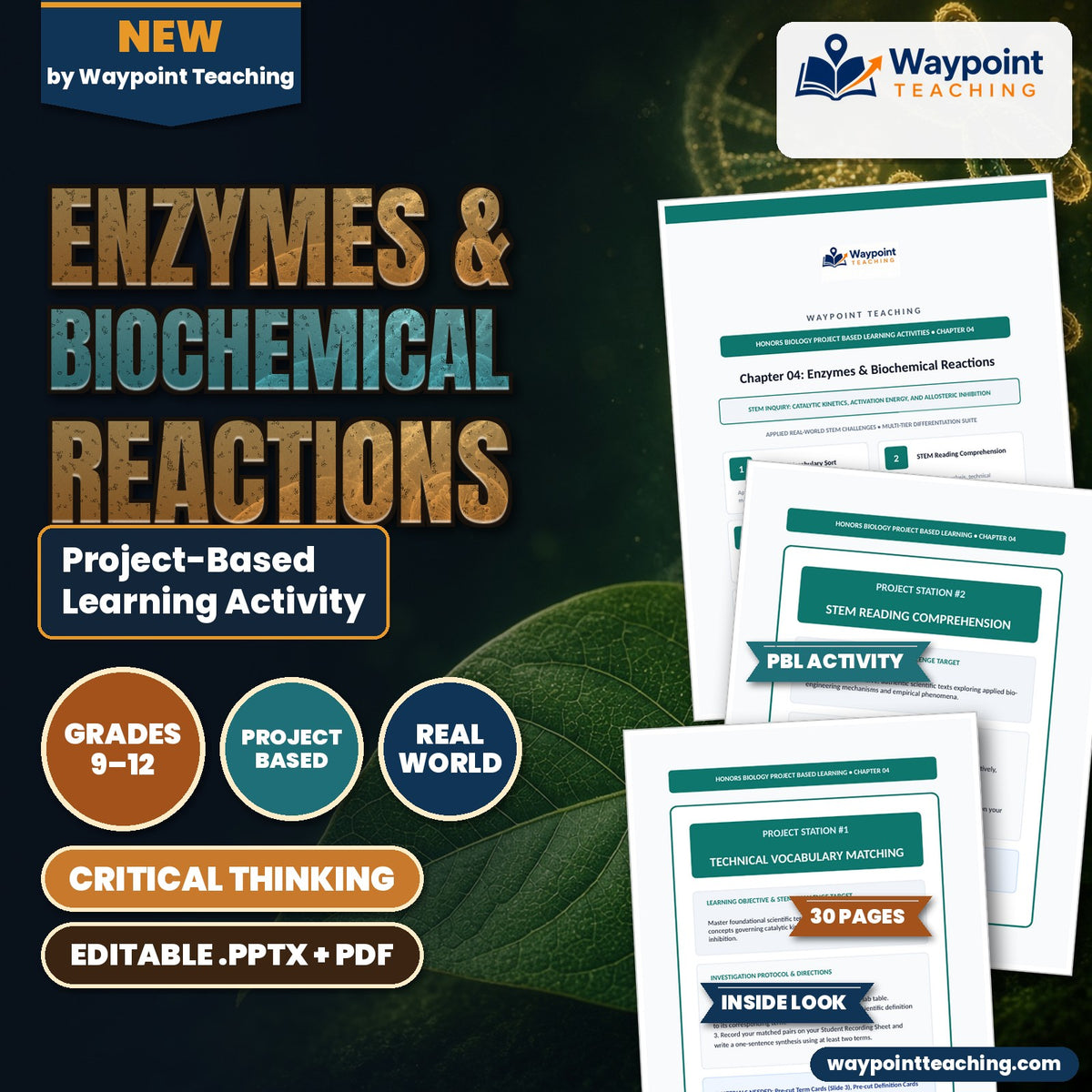 Enzymes & Biochemical Reactions Project-Based Learning Activity cover