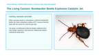 Enzymes & Biochemical Reactions Scaffolded Phenomena-Based Lesson: The Living Cannon: Bombardier Beetle Explosive Catalytic Jet Presentation sample page