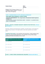 Enzymes & Biochemical Reactions Scaffolded Phenomena-Based Lesson: The Living Cannon: Bombardier Beetle Explosive Catalytic Jet Student Response Sheet sample page