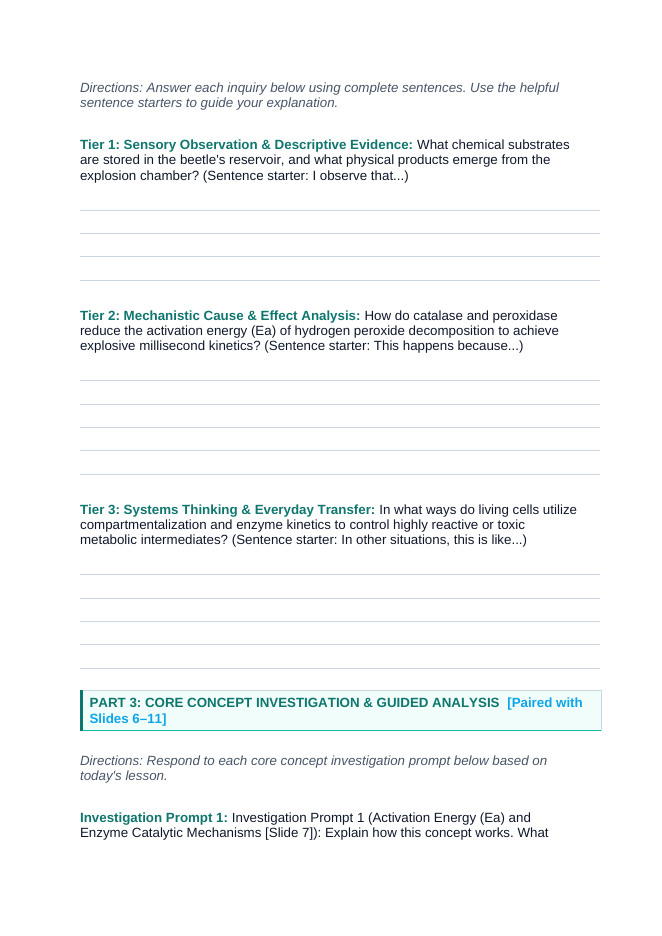 Enzymes & Biochemical Reactions Scaffolded Phenomena-Based Lesson: The Living Cannon: Bombardier Beetle Explosive Catalytic Jet Student Response Sheet sample page