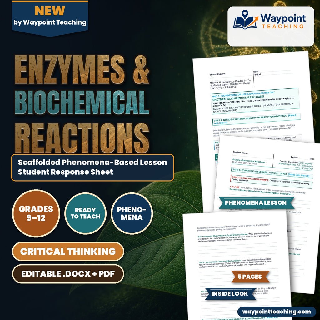 Enzymes & Biochemical Reactions Scaffolded Phenomena-Based Lesson: The Living Cannon: Bombardier Beetle Explosive Catalytic Jet Student Response Sheet cover