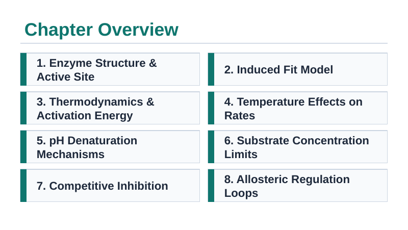 Enzymes & Biochemical Reactions Slide Show Presentation sample page