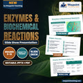 Enzymes & Biochemical Reactions Slide Show Presentation cover