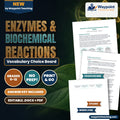 Enzymes & Biochemical Reactions Vocabulary Choice Board cover