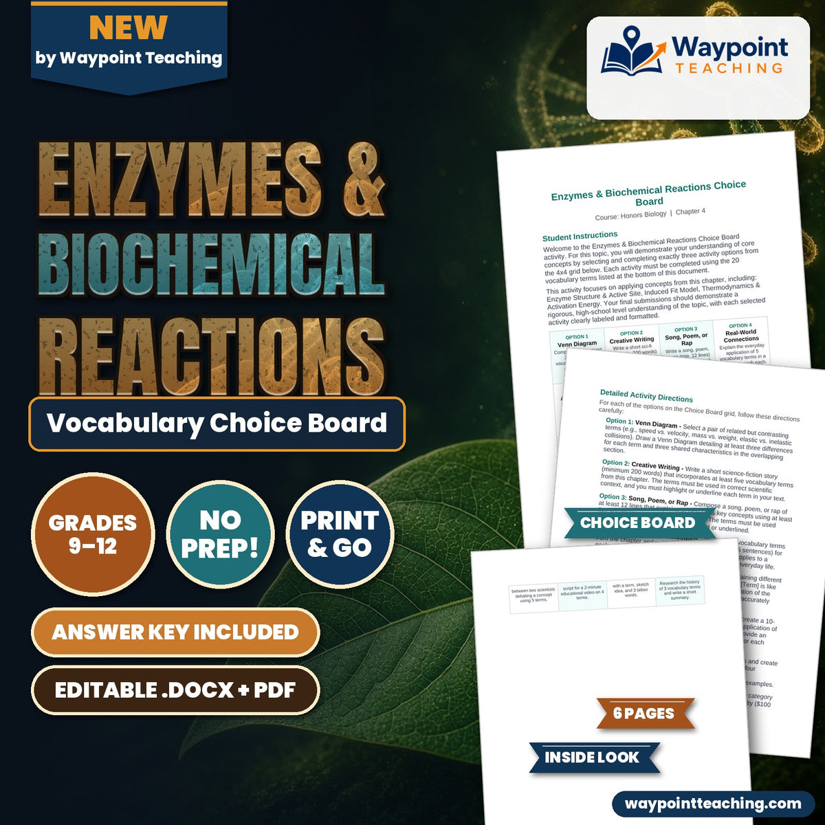 Enzymes & Biochemical Reactions Vocabulary Choice Board cover