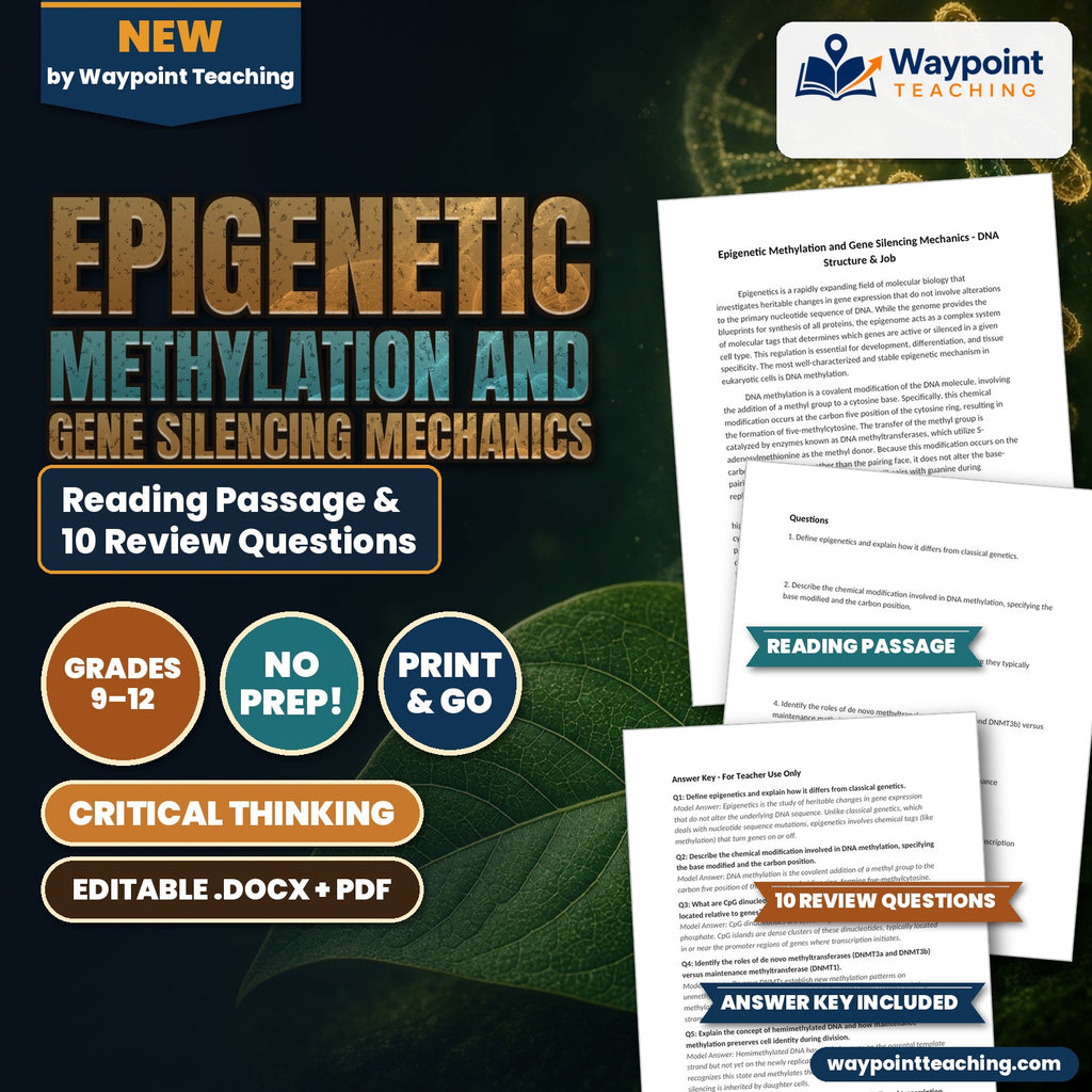 Epigenetic Methylation and Gene Silencing Mechanics Reading Worksheet cover