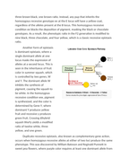 Epistatic Gene Interactions and Complex Phenotypic Ratios Reading Worksheet sample page