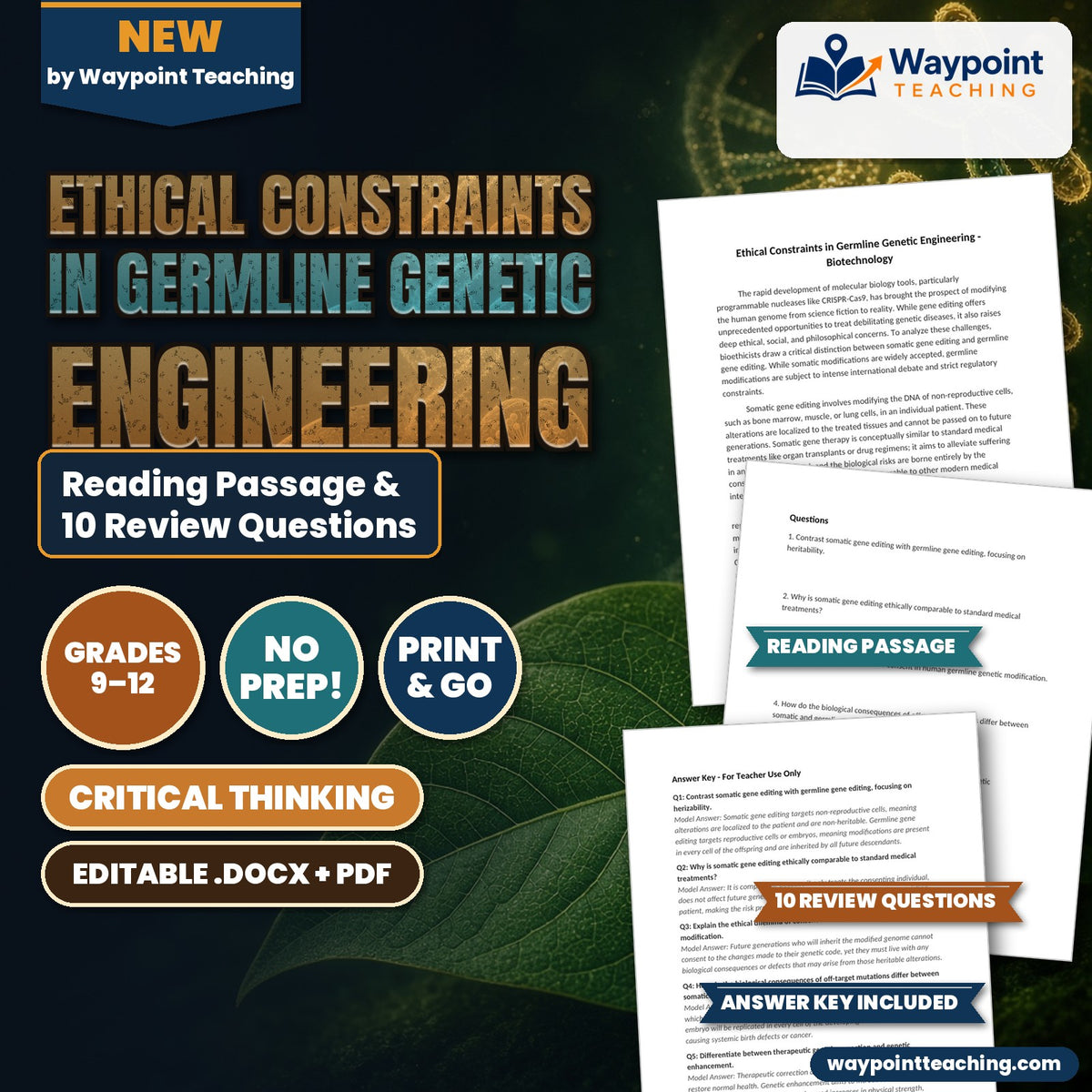 Ethical Constraints in Germline Genetic Engineering Reading Worksheet cover
