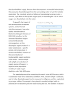 Eutrophication Metrics and Biochemical Oxygen Demand (BOD) Testing Reading Worksheet sample page