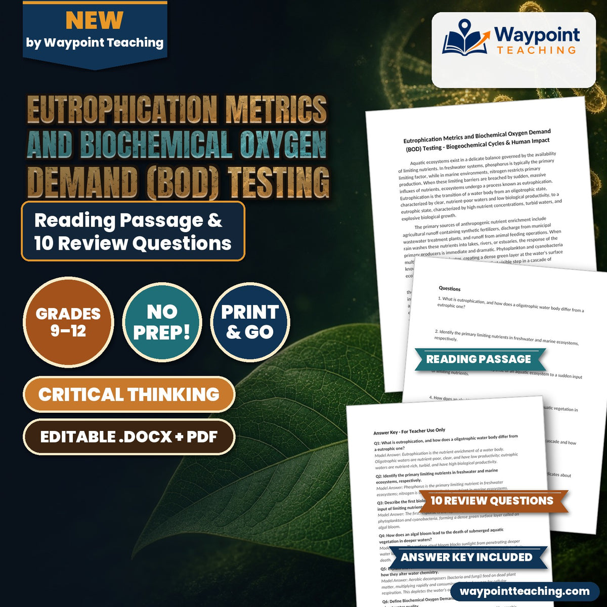 Eutrophication Metrics and Biochemical Oxygen Demand (BOD) Testing Reading Worksheet cover