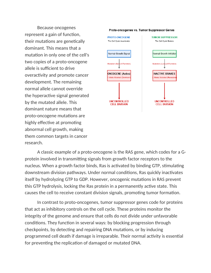 Evaluating Oncogenes vs. Tumor Suppressor Mutations Reading Worksheet sample page