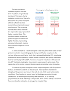 Evaluating Oncogenes vs. Tumor Suppressor Mutations Reading Worksheet sample page