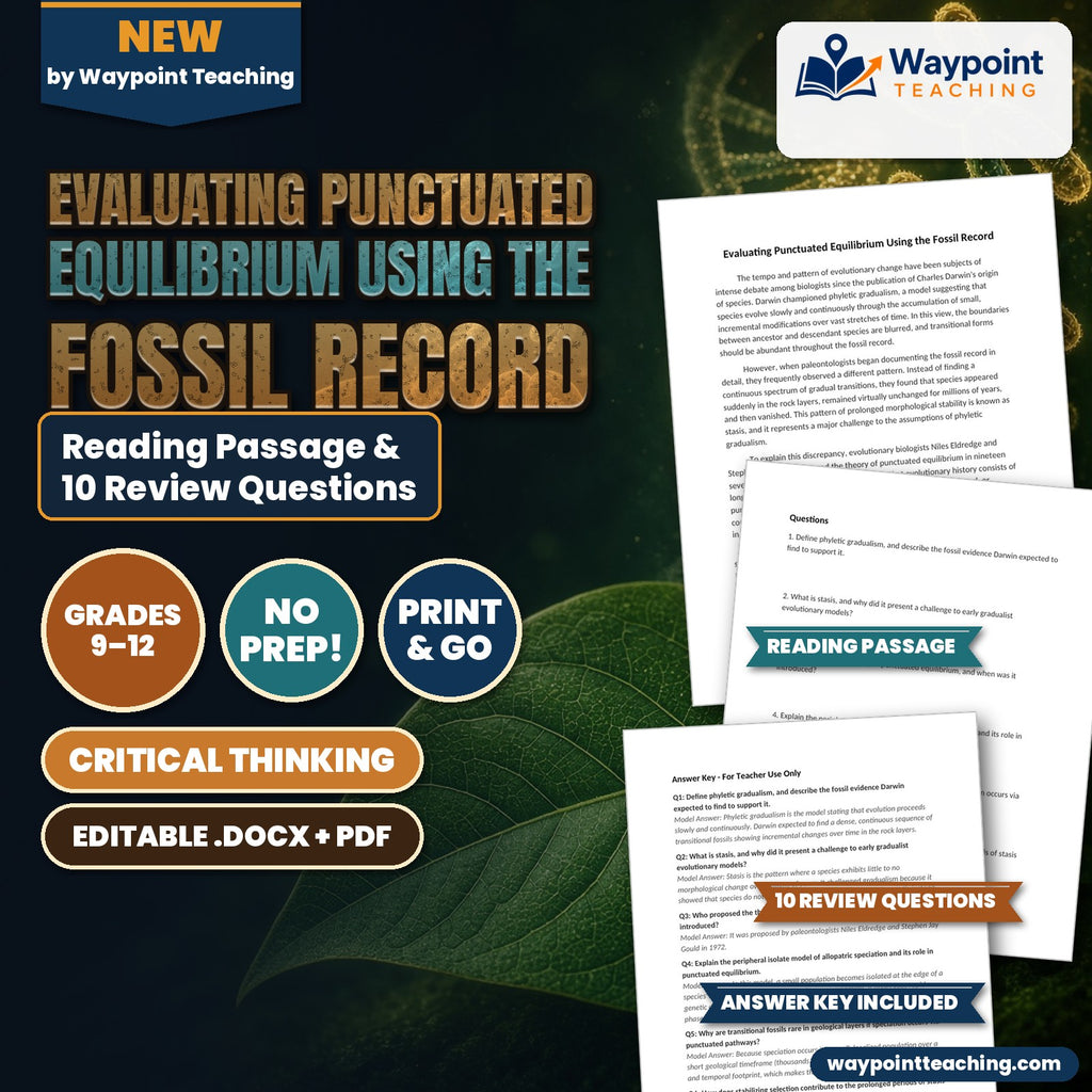 Evaluating Punctuated Equilibrium Using the Fossil Record Reading Worksheet cover