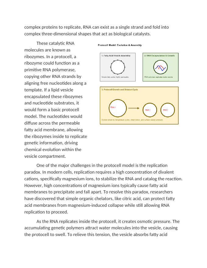 Evaluating the Evolution of the Protocell Model Reading Worksheet sample page