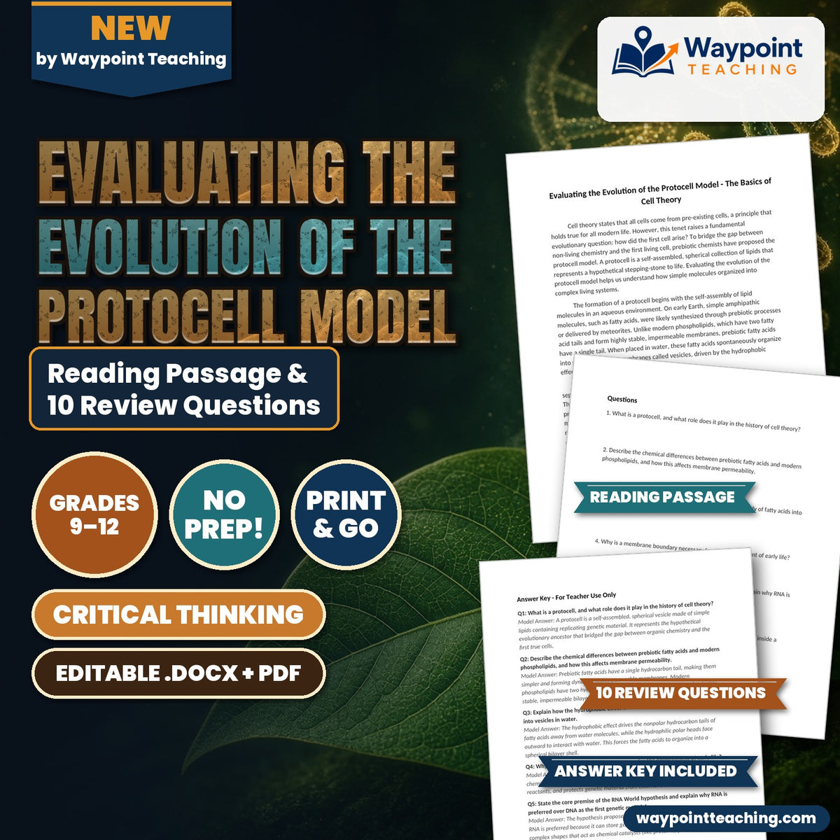 Evaluating the Evolution of the Protocell Model Reading Worksheet cover