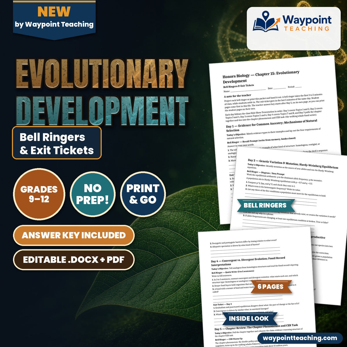 Evolutionary Development Bell Ringers & Exit Tickets cover
