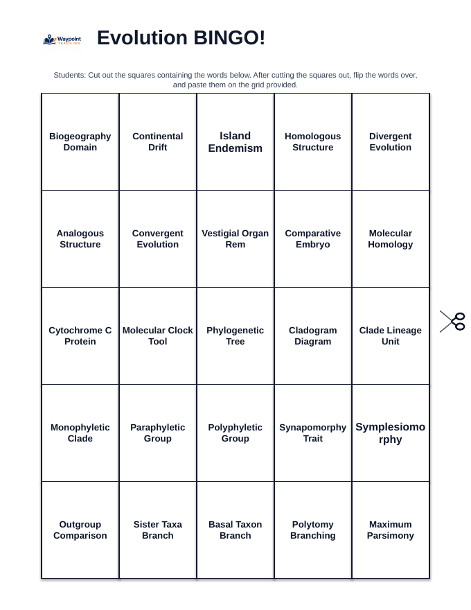 Evolutionary Development BINGO Review Game sample page
