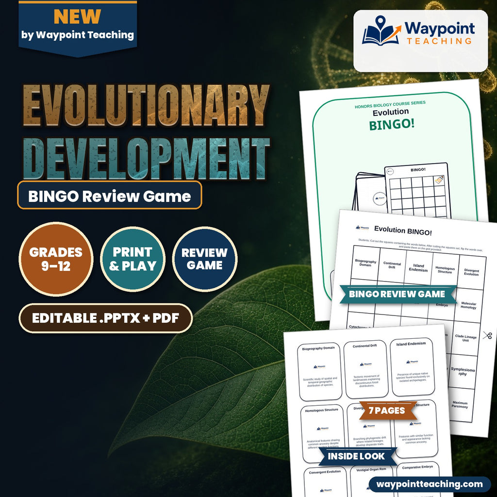 Evolutionary Development BINGO Review Game cover