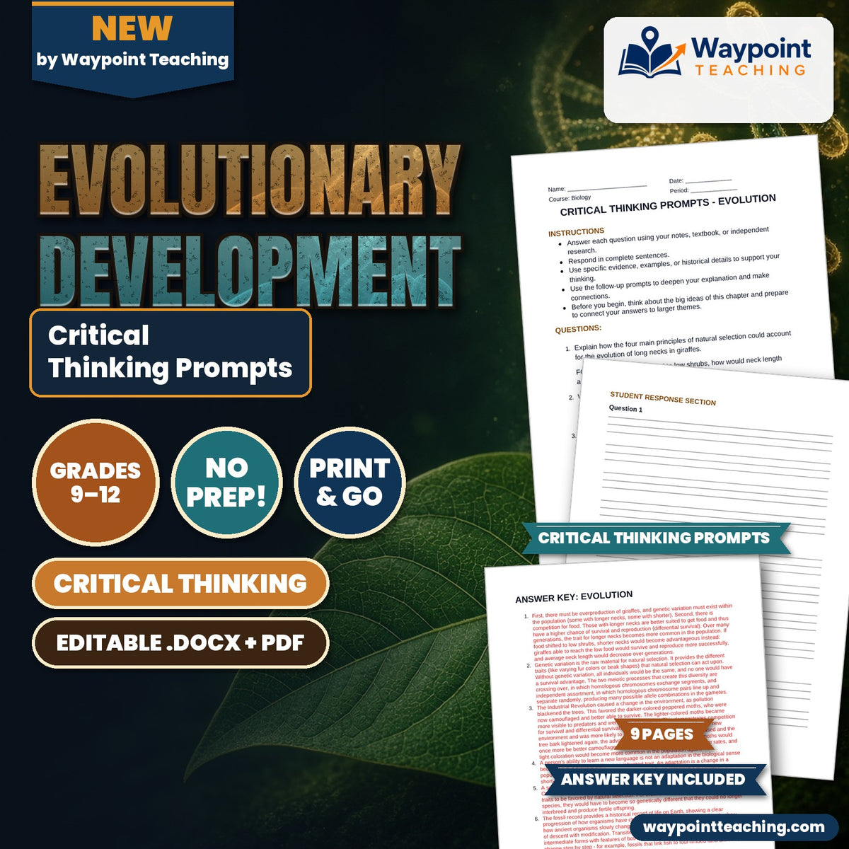 Evolutionary Development Critical Thinking Prompts cover