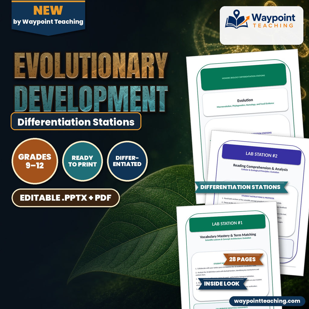 Evolutionary Development Differentiation Stations cover