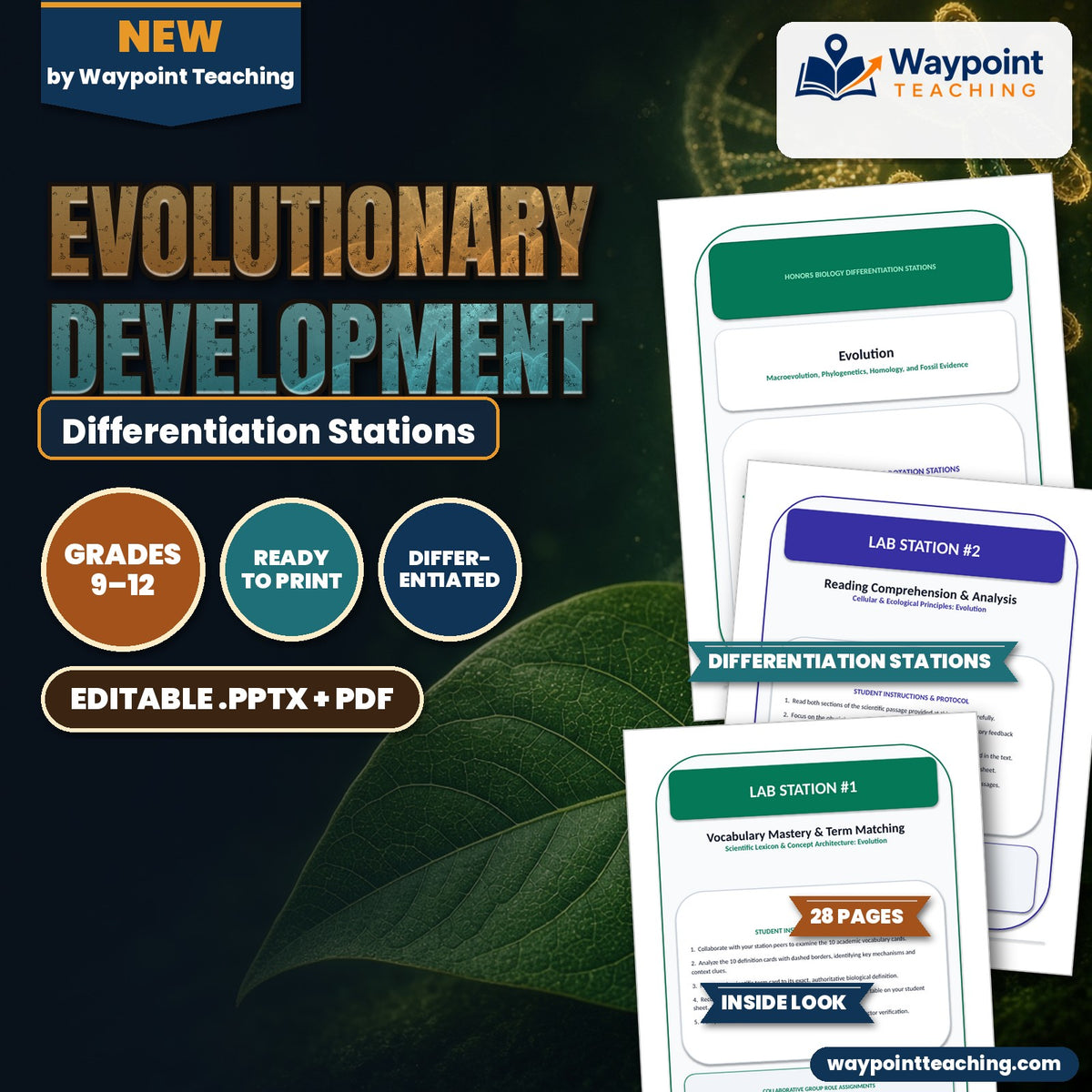 Evolutionary Development Differentiation Stations cover