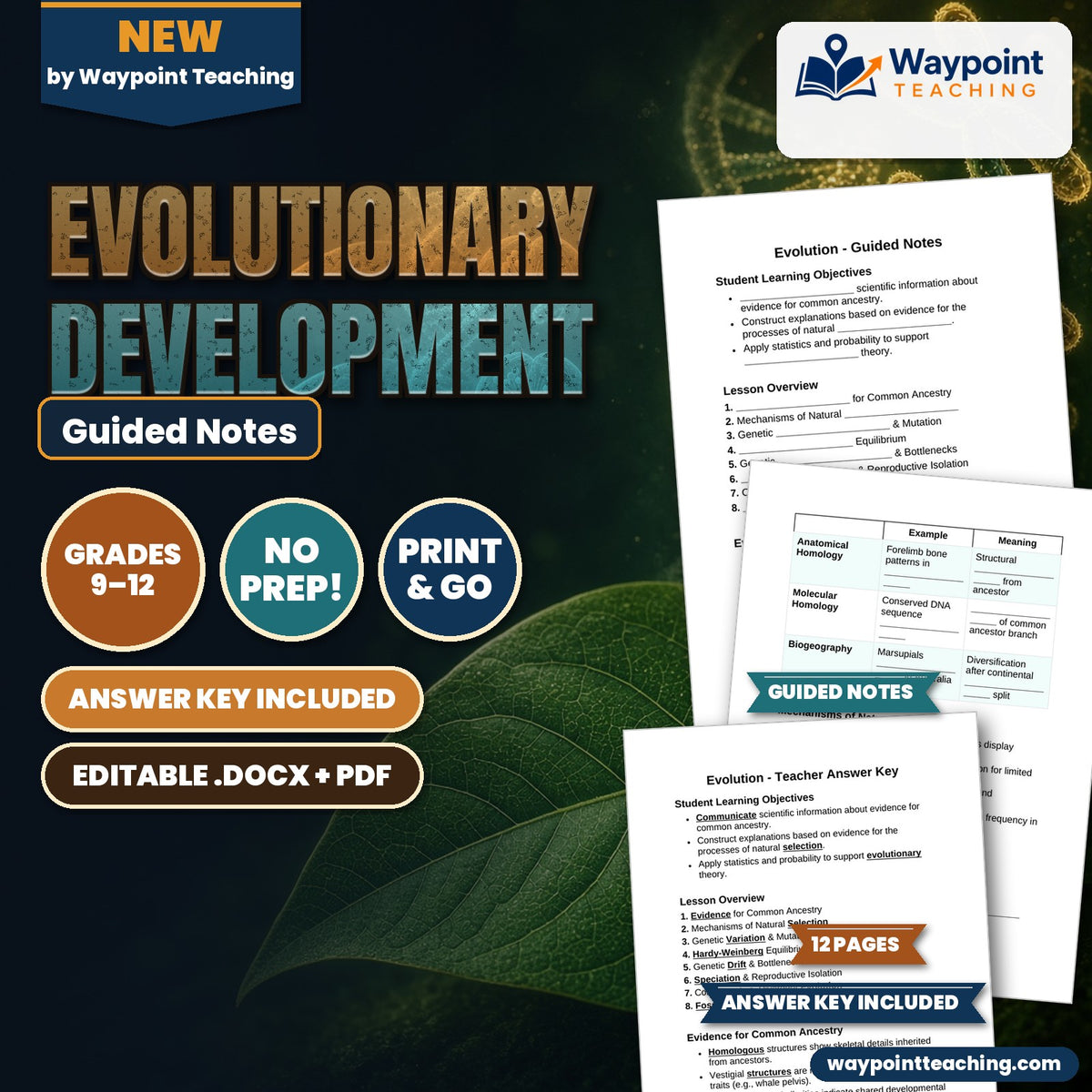 Evolutionary Development Guided Notes cover