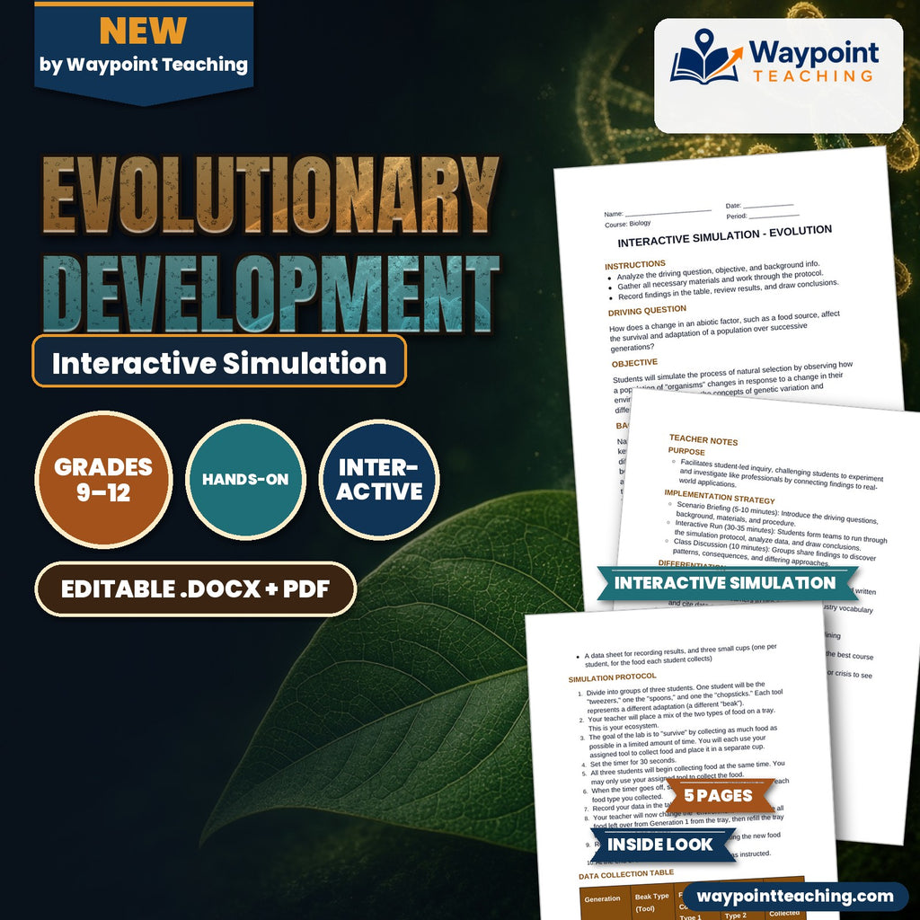 Evolutionary Development Interactive Simulation cover