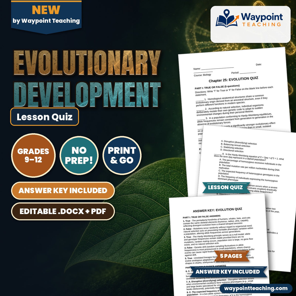 Evolutionary Development Lesson Quiz cover