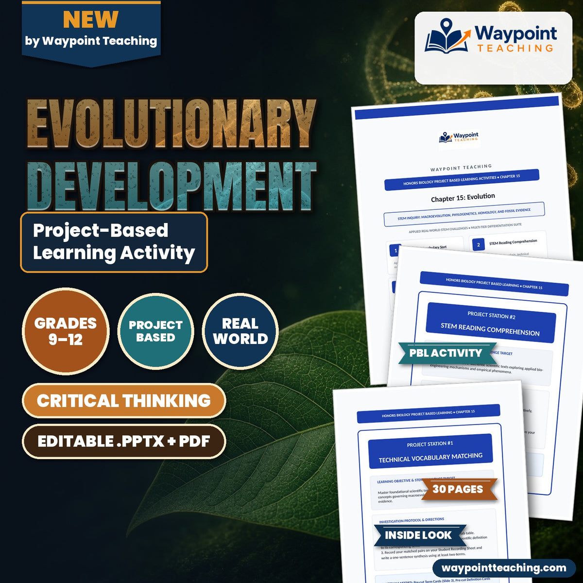 Evolutionary Development Project-Based Learning Activity cover