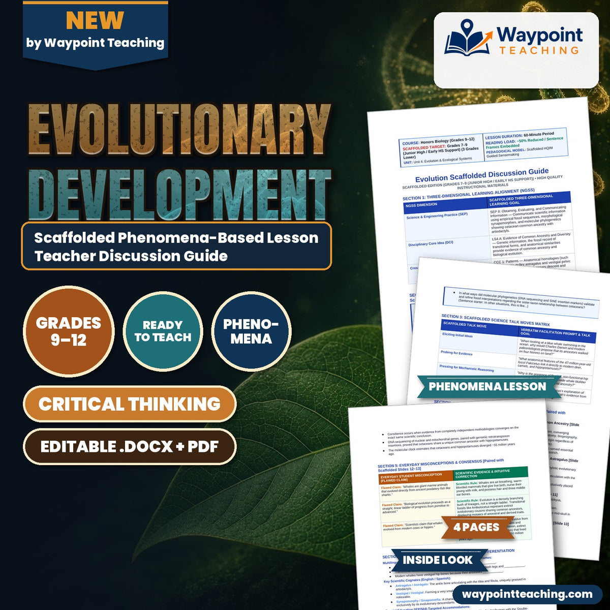 Evolutionary Development Scaffolded Phenomena-Based Lesson: The Walking Whale: How an Ankle Bone Solved the Leviathan Mystery Teacher Discussion Guide cover