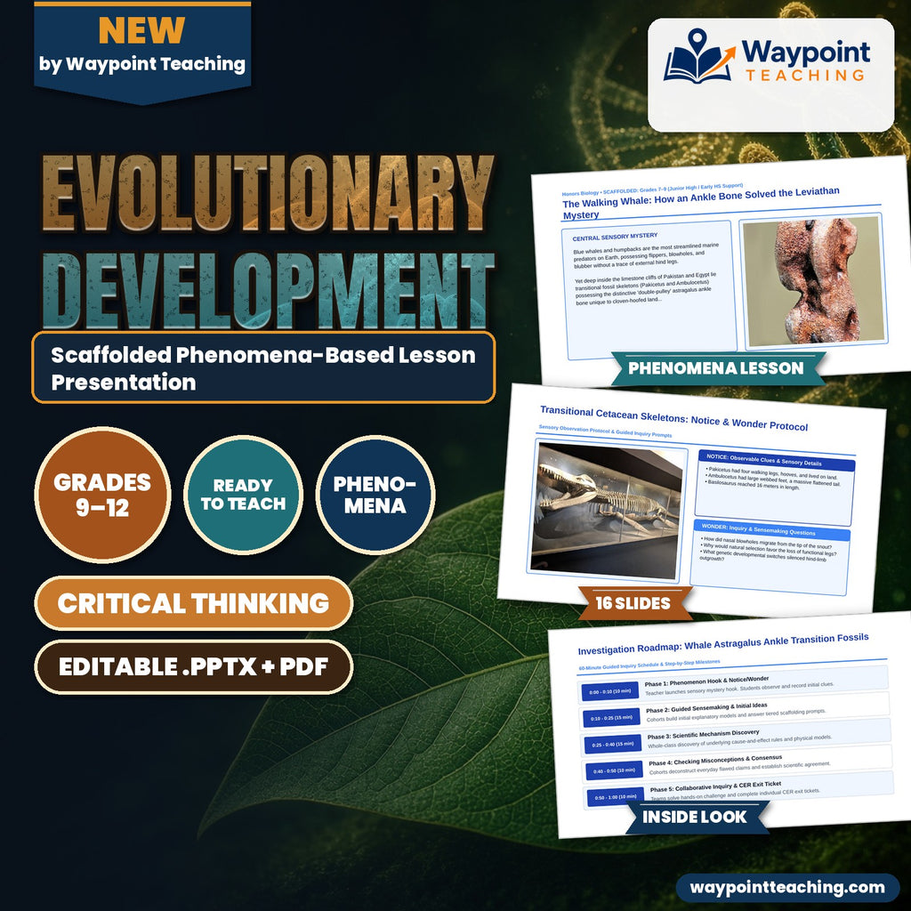 Evolutionary Development Scaffolded Phenomena-Based Lesson: The Walking Whale: How an Ankle Bone Solved the Leviathan Mystery Presentation cover