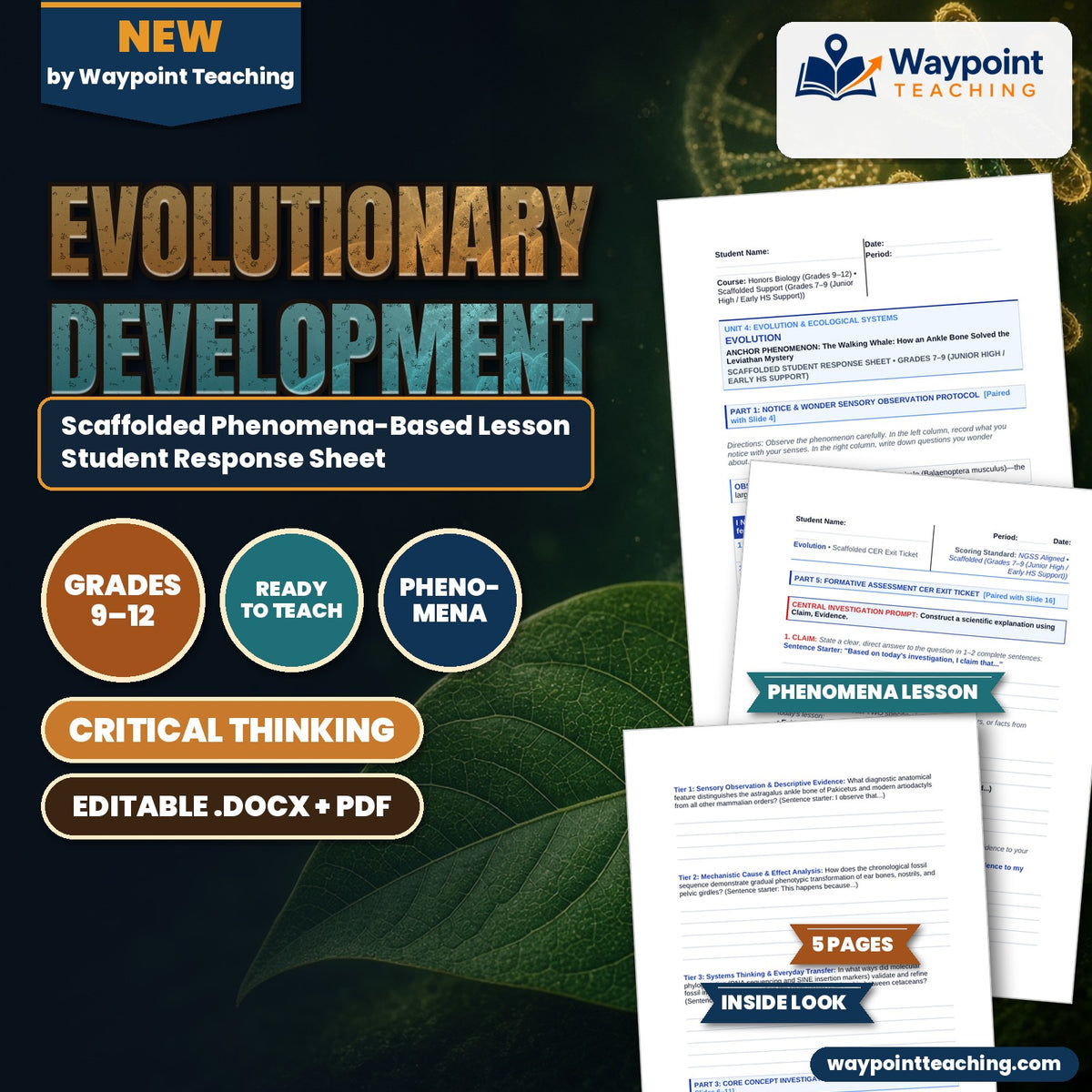 Evolutionary Development Scaffolded Phenomena-Based Lesson: The Walking Whale: How an Ankle Bone Solved the Leviathan Mystery Student Response Sheet cover
