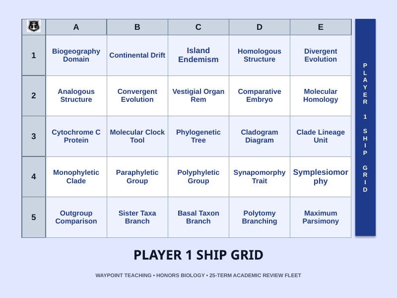 Evolutionary Development Sea Battle Review Game sample page