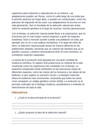 Evolutionary Development Spanish Reading Passage & Comprehension Questions sample page