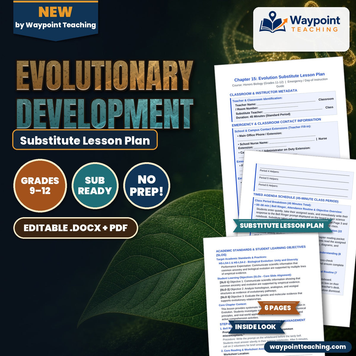 Evolutionary Development Substitute Lesson Plan cover