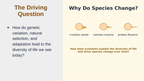 Evolutionary Development Substitute Slideshow & Teacher Guide sample page