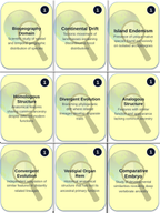 Evolutionary Development Trivia Board Game sample page