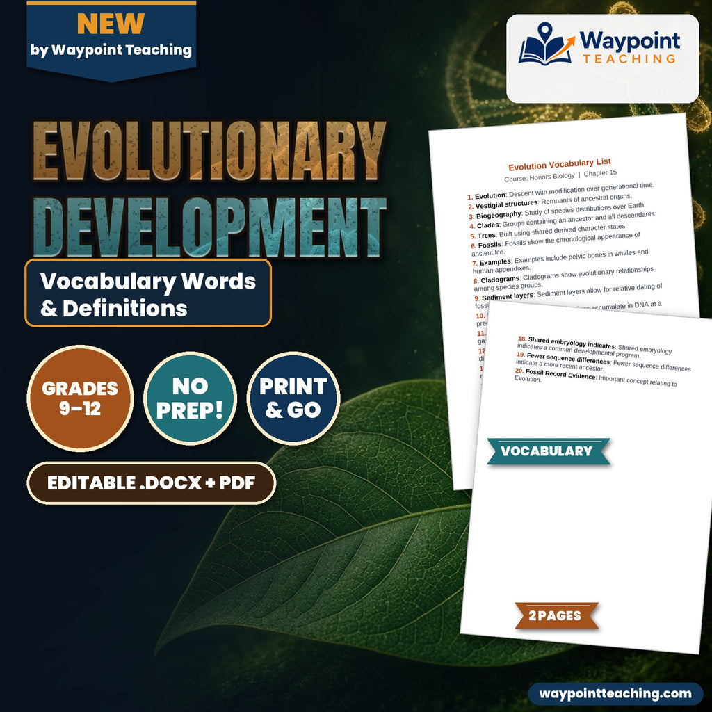 Evolutionary Development Vocabulary Words & Definitions cover