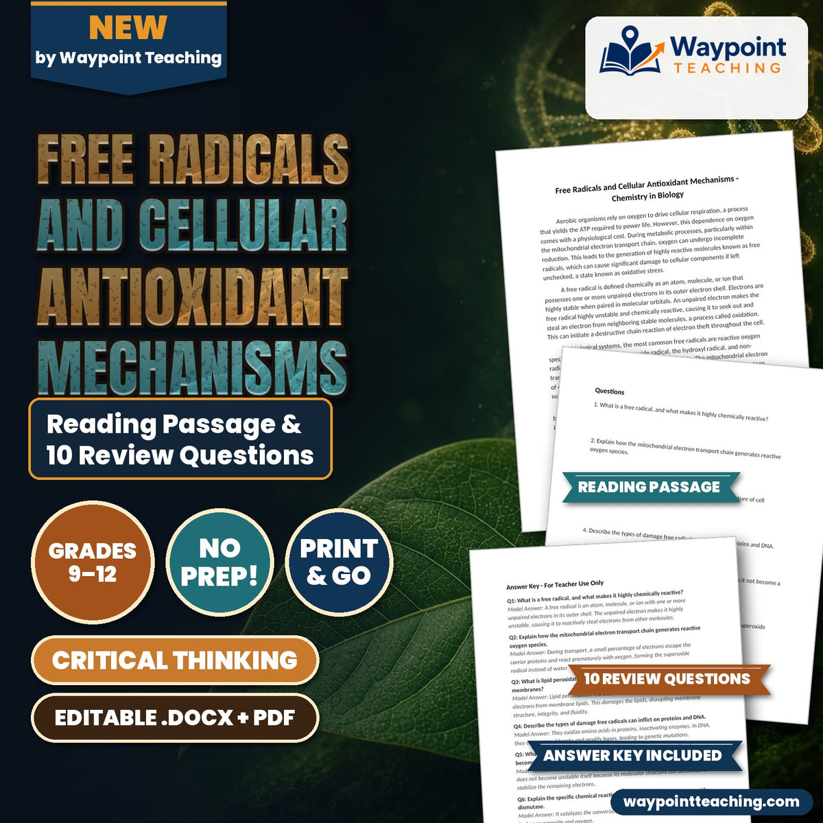 Free Radicals and Cellular Antioxidant Mechanisms Reading Worksheet cover