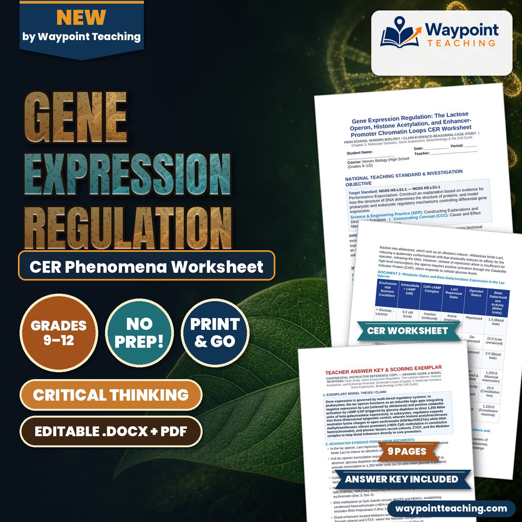 Gene Expression Regulation: The Lactose Operon, Histone Acetylation, and Enhancer-Promoter Chromatin Loops CER Phenomena Worksheet cover