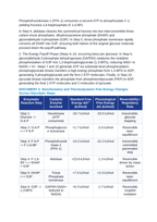 Glycolysis and Substrate-Level Phosphorylation: Hexokinase Priming, Fructose-1,6-Bisphosphate Cleavage, and Pyruvate Decarboxylation CER Phenomena Worksheet sample page