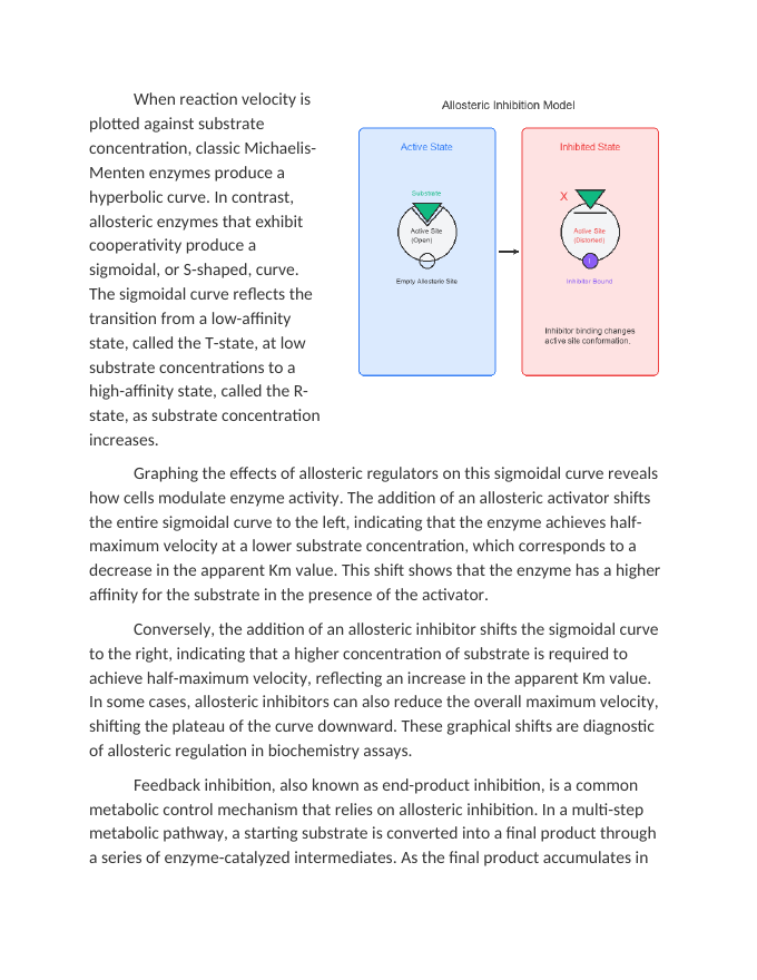 Graphing Allosteric Activation and Feedback Inhibition Reading Worksheet sample page
