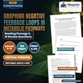 Graphing Negative Feedback Loops in Metabolic Pathways Reading Worksheet cover