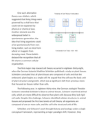 Historical Paradigm Shifts in Formulating Cell Theory Reading Worksheet sample page