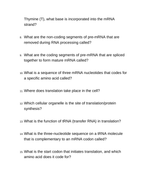 How Cells Make Proteins Bell Ringers & Exit Tickets sample page