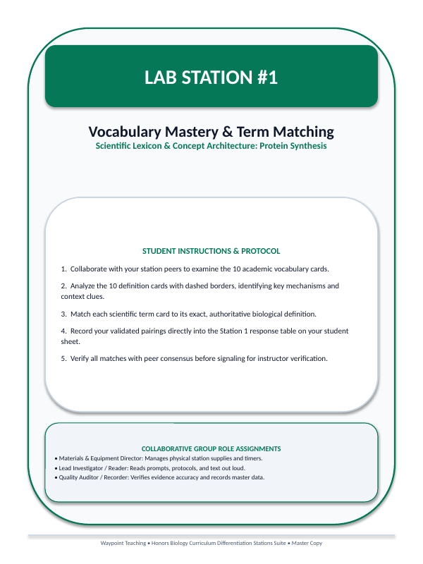 How Cells Make Proteins Differentiation Stations sample page