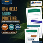 How Cells Make Proteins Differentiation Stations cover