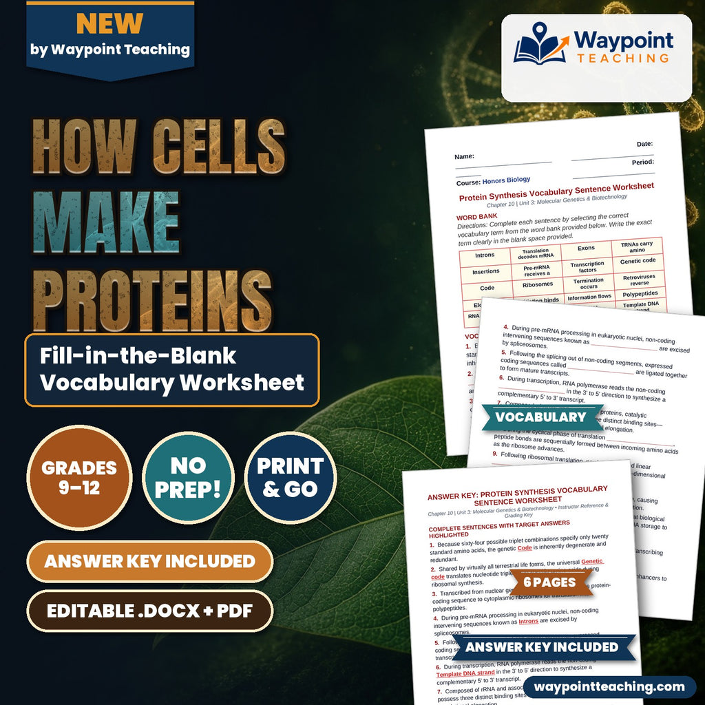 How Cells Make Proteins Fill-in-the-Blank Vocabulary Worksheet cover