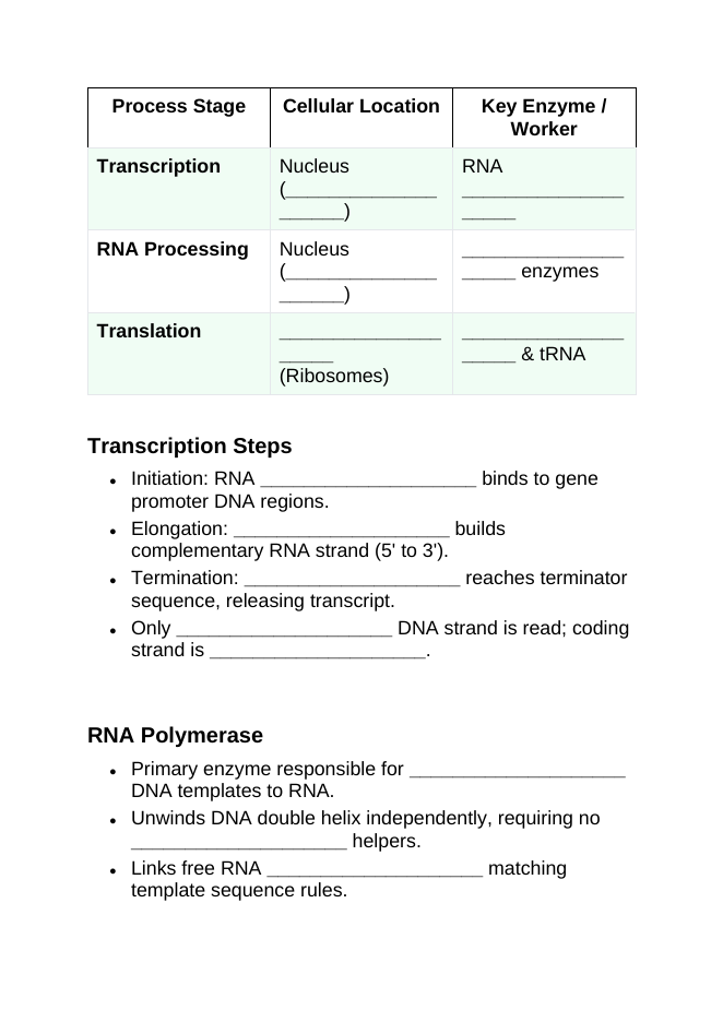 How Cells Make Proteins Guided Notes sample page