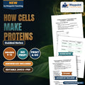 How Cells Make Proteins Guided Notes cover